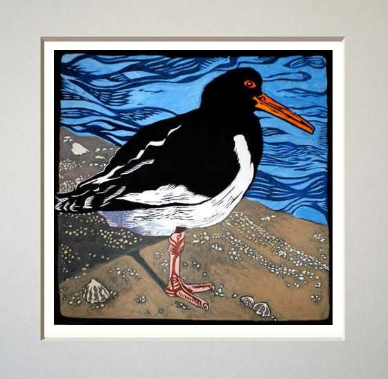 oystercatcher print